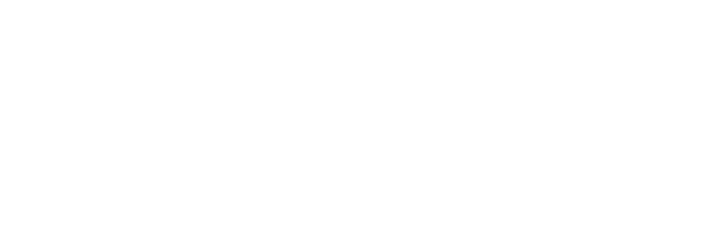 Ludi logo with white text and symbol