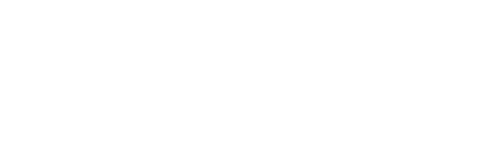 Ludi logo with white text