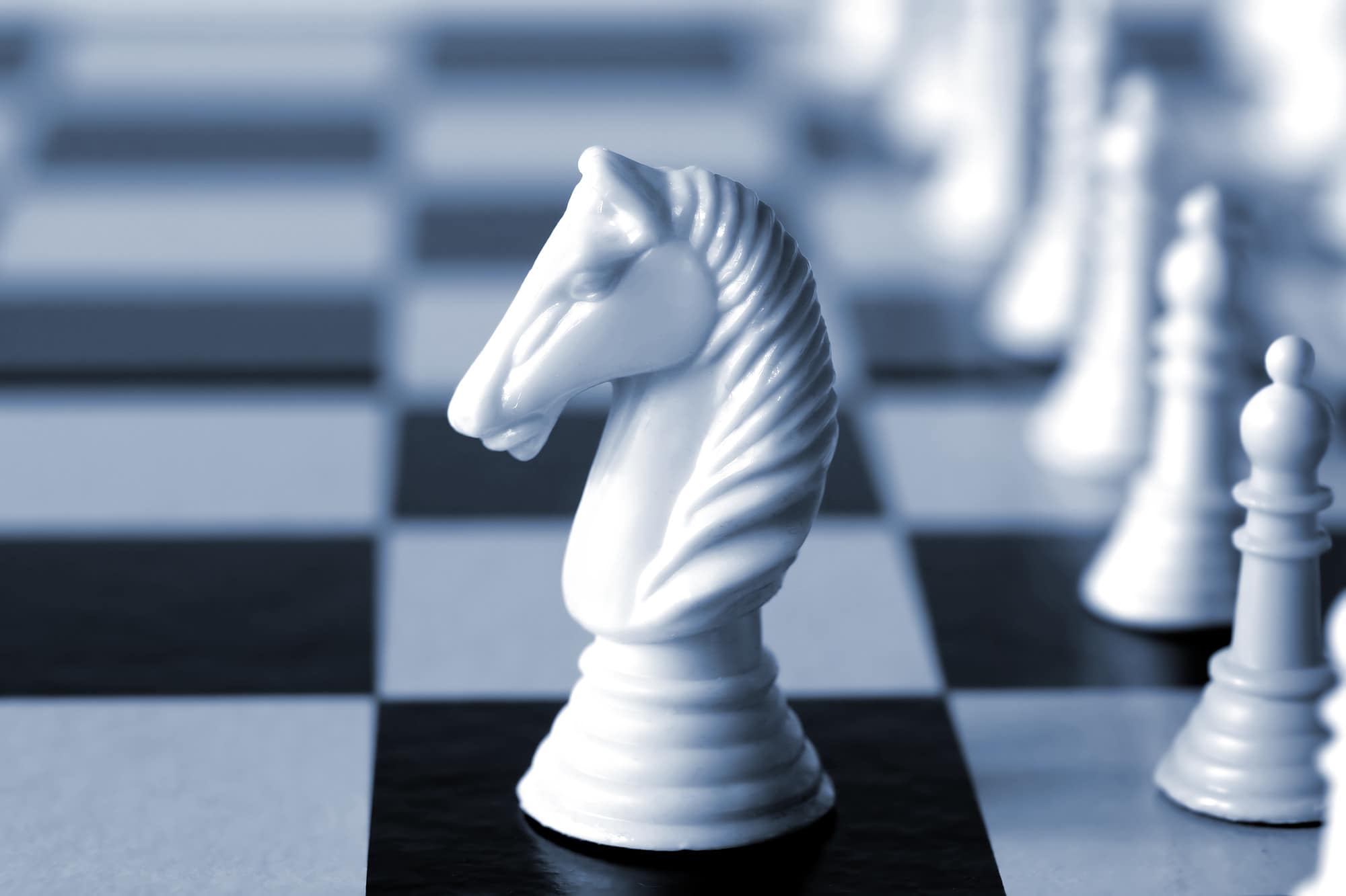 White knight on a chessboard with other pieces of out of focus